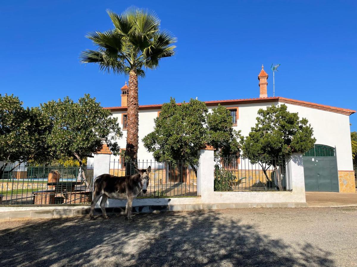 Casa Rural La Galvana Aracena Exterior photo